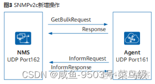 龙架构 龙架构 snmp_网络协议_06