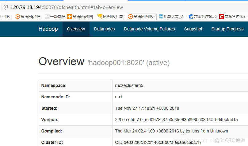 云集群服务器架构 云主机集群_hadoop_03