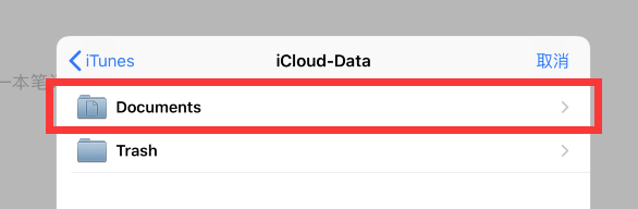 本地删除redis 本地删除了icloud还有吗_备份文件_05