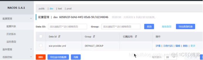 nacos配置MySQL ssl Nacos配置中心使用_jenkins_16