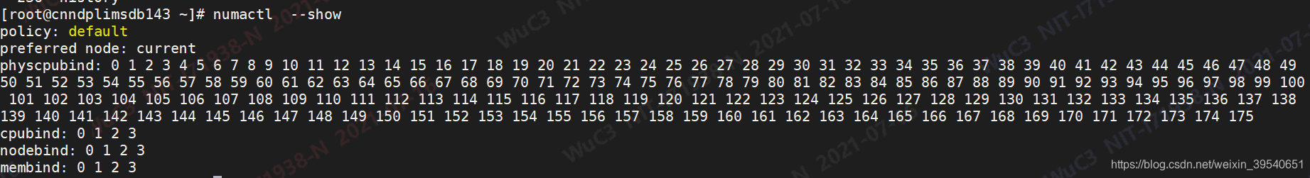 关闭numa BIOS 关闭numa会有什么影响_postgresql_05