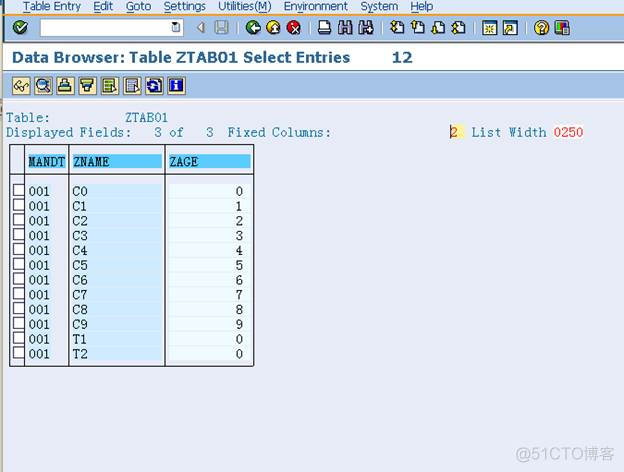 java rfc调用SPA接口 java调用sap的rfc函数_RFC_51