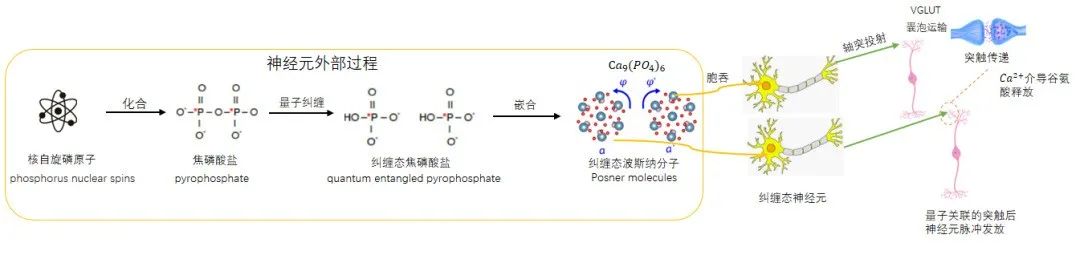 时序量子神经网络 神经网络量子态_神经网络_04