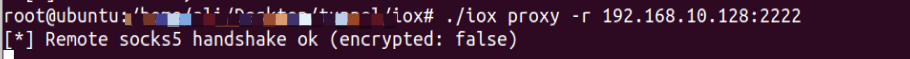 docker proxychain docker proxychains iox 透传_内网渗透_08