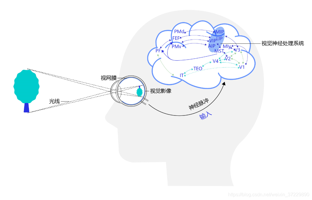 计算机视觉微课版第三版深度神经 计算机视觉life课程_池化_02