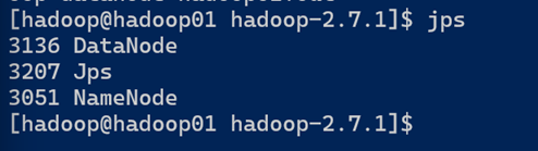 虚拟机伪分布式hadoop hadoop伪分布式启动_Centos7_05