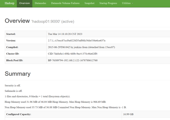 虚拟机伪分布式hadoop hadoop伪分布式启动_hadoop运行环境_07