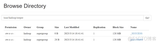 虚拟机伪分布式hadoop hadoop伪分布式启动_hadoop运行环境_11