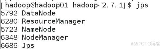 虚拟机伪分布式hadoop hadoop伪分布式启动_大数据_18