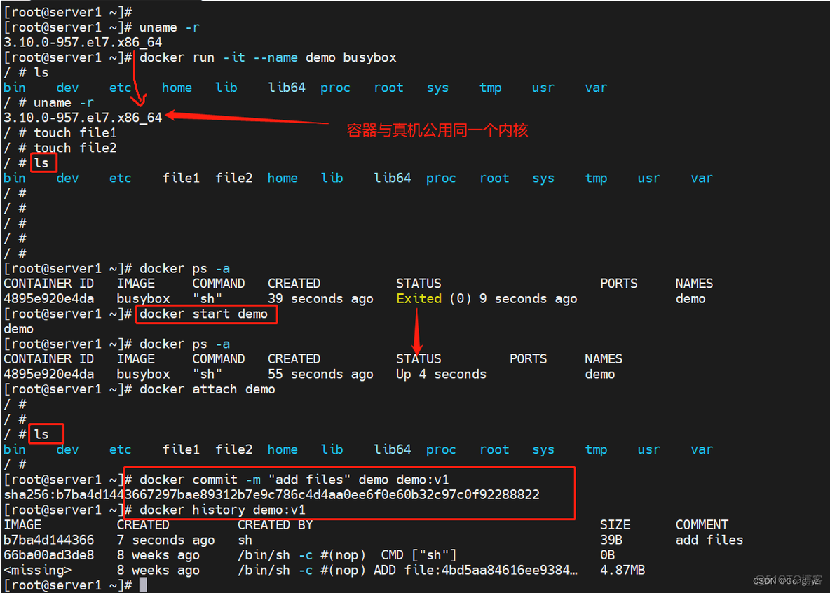 docker 镜像 分层 docker镜像分层的好处_运维_08