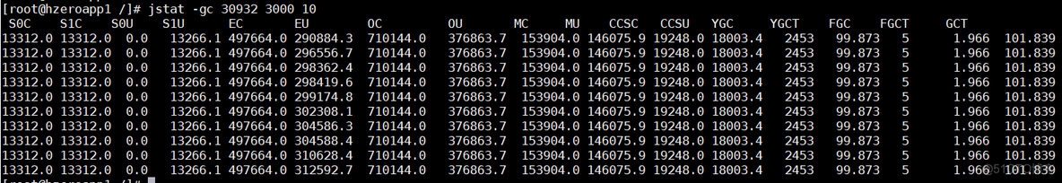 java的jvm调优工具 jvm 调优工具_老年代_06