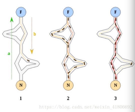 python蚁群算法栅格地图 蚁群算法参数选择_最优解