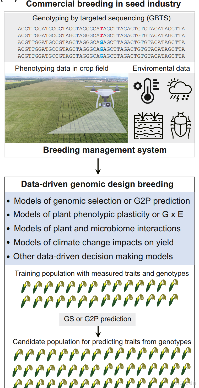 Trends in Plant Science | 王向峰老师综述数据驱动的基因组设计育种_数据_03