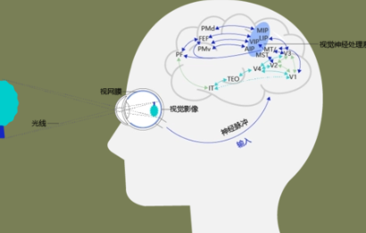 计算机视觉要学些什么 计算机视觉学什么专业_python