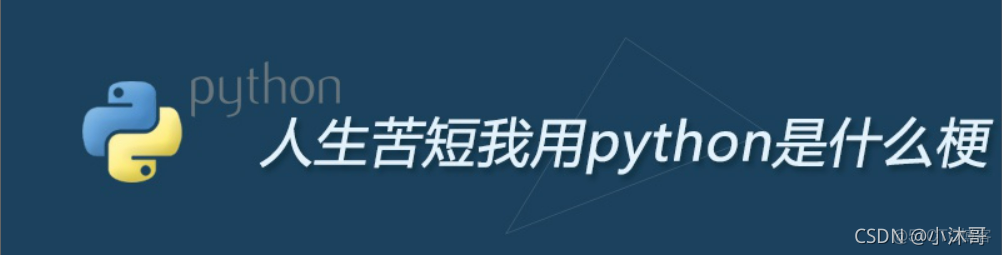 人生苦短我学python 英语 人生苦短我用python英文_开发语言