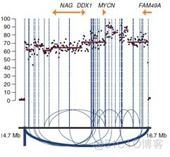 基因组学数据分析方法 基因组测序数据分析_数据_06