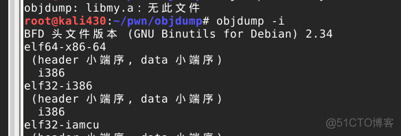 java obspy调用 objdump详解_显示文件_03