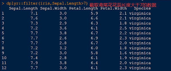 summary在r语言中 summary r语言_并集_14