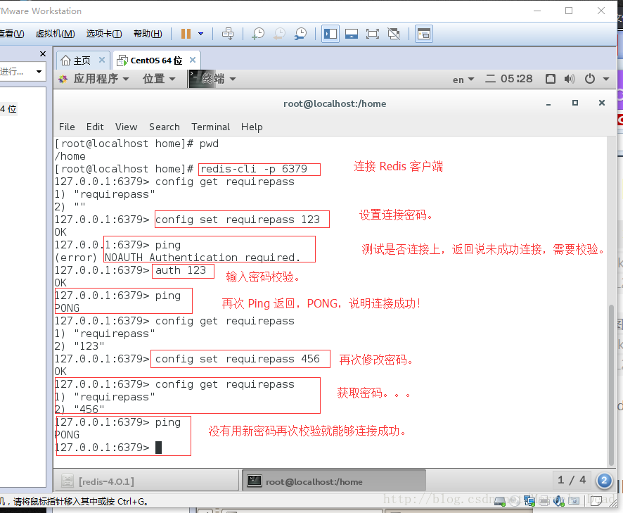 redis的PID文件没有生成 redis pid文件作用_Redis_08