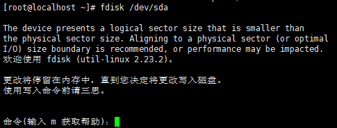 linux挂载磁盘 到docker linux直接挂载磁盘_服务器_02