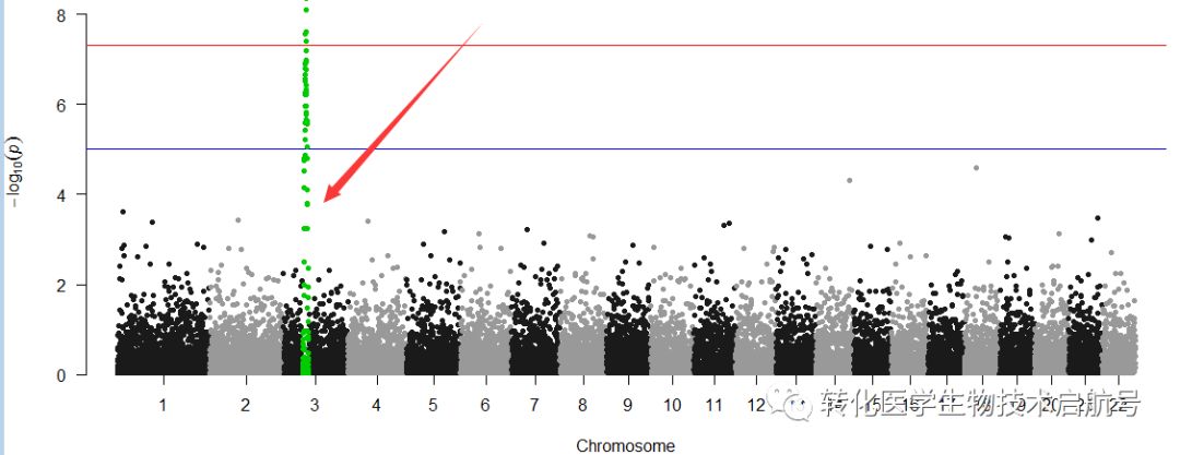 曼哈顿图ggplot2 R语言 gwas曼哈顿图_大数据