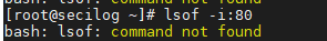 bash: lsof: command not found_socket