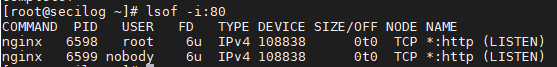 bash: lsof: command not found_socket_03