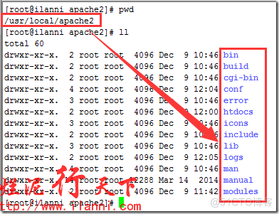 源码包安装mysql 源码包安装的apache_php_19