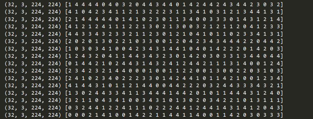 pytorch 拼接tensor zip pytorch template_数据_06