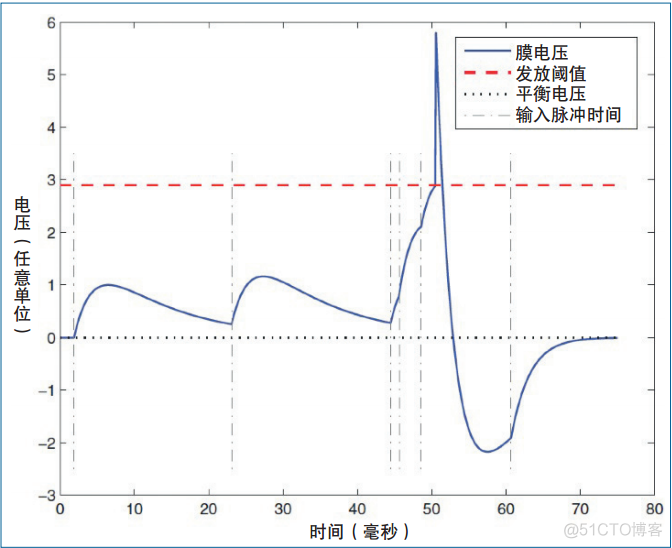 脉冲神经网络原理及应用 脉冲神经元模型_生物神经网络_02