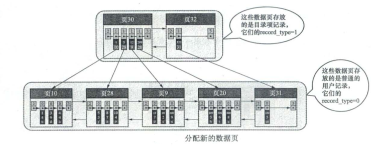 mysql数据磁盘是连续的吗 mysql数据页 磁盘数据页_mysql_09