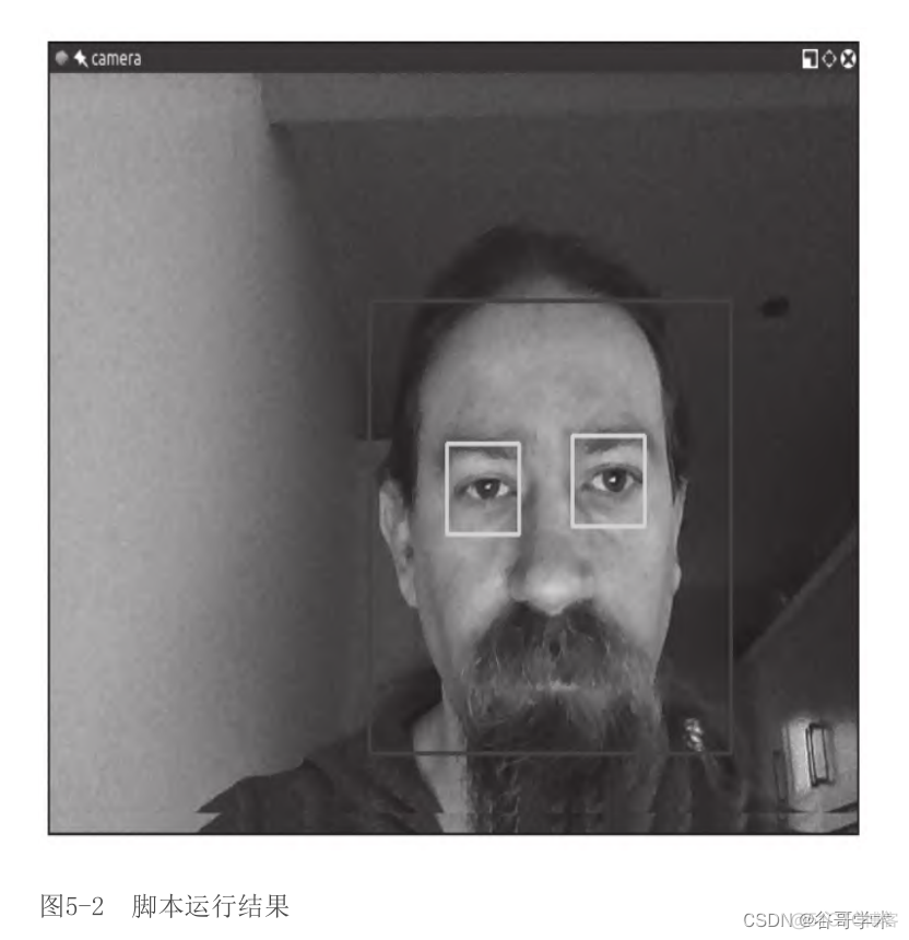 android opencv识别鸟 opencv识别人_android opencv识别鸟_15