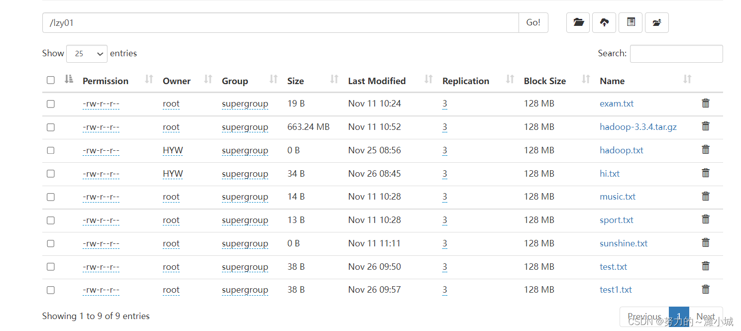 api hdfs中java 的使用 使用java api操作hdfs_大数据_39