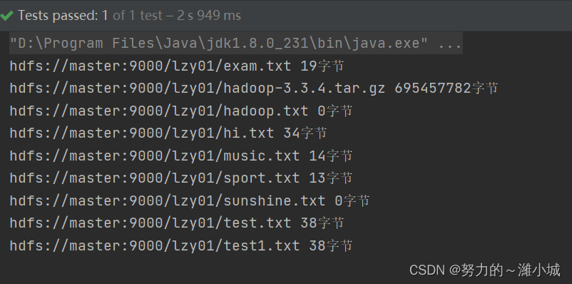 api hdfs中java 的使用 使用java api操作hdfs_hadoop_42