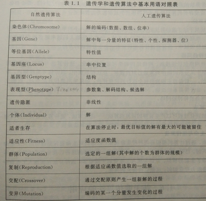 python遗传算法的全局搜索和局部搜索 遗传算法全局搜索能力_全局搜索