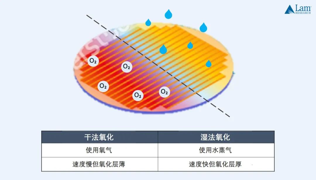 深度学习 芯片的量化 芯片量产流程_深度学习 芯片的量化_04