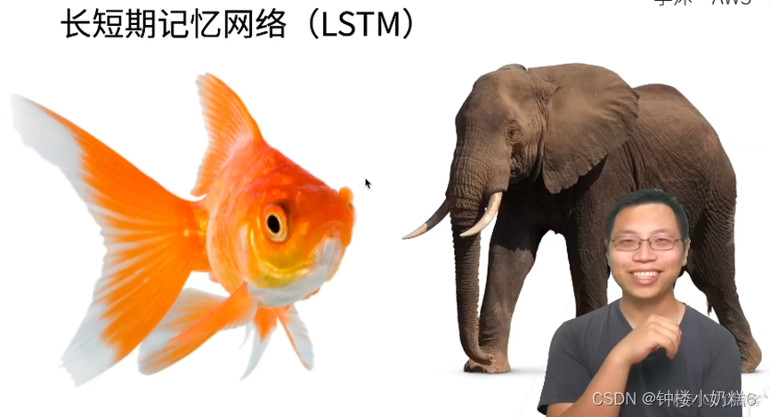 长短期记忆神经网络模型 长期短期记忆模型_lstm