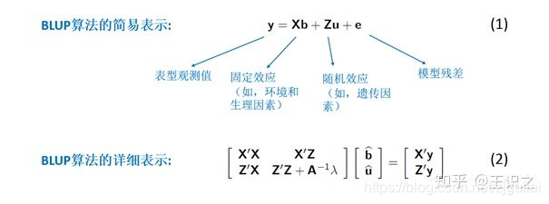 gblup育种 python代码 blup育种基本含义_计算技术