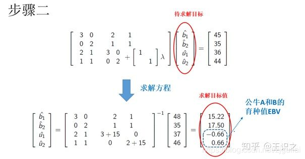 gblup育种 python代码 blup育种基本含义_计算技术_05