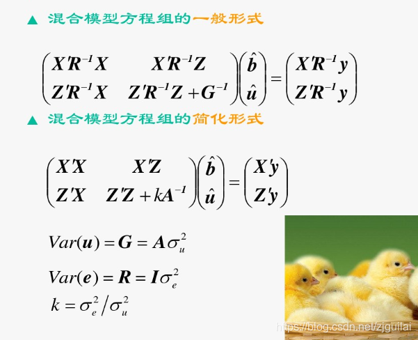 gblup育种 python代码 blup育种基本含义_gblup育种 python代码_14