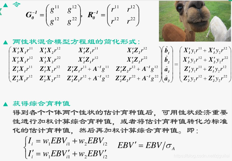 gblup育种 python代码 blup育种基本含义_gblup育种 python代码_18