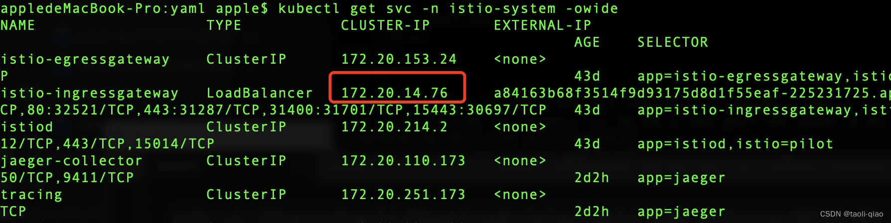 IT基础架构云平台建设 it基础架构认证_istio_10