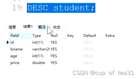 mysql如何定义角色 mysql定义模式_mysql如何定义角色_19