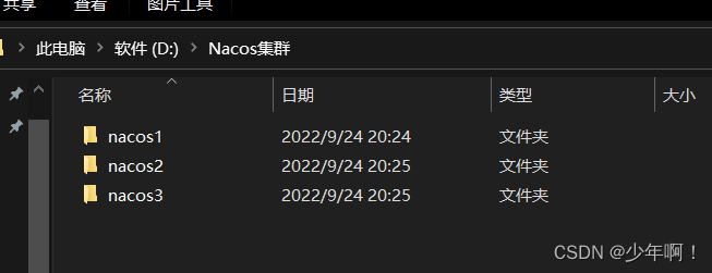 nacos连接redis集群配置 nacos集群启动命令_spring_16