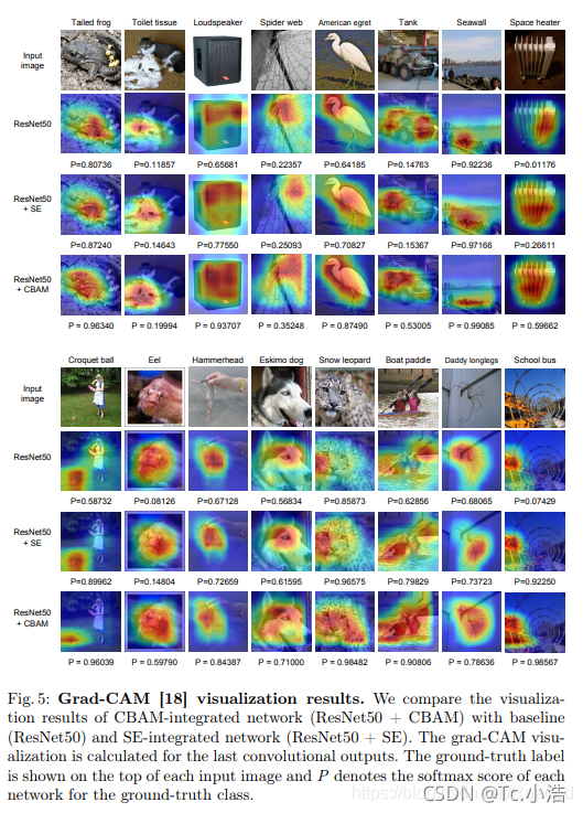 GAM注意力pytorch 注意力机制 cnn_pytorch_14