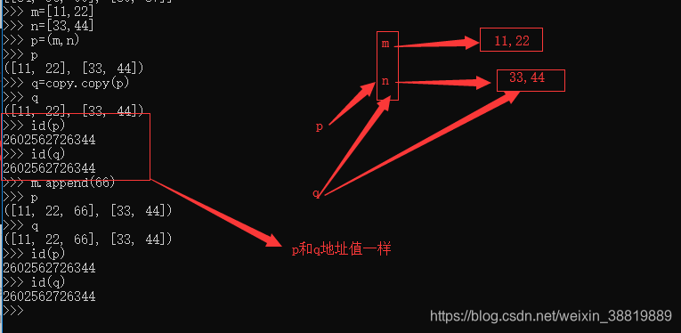 python 深拷贝与浅拷贝习题 python深拷贝浅拷贝区别_python 深拷贝与浅拷贝习题_03