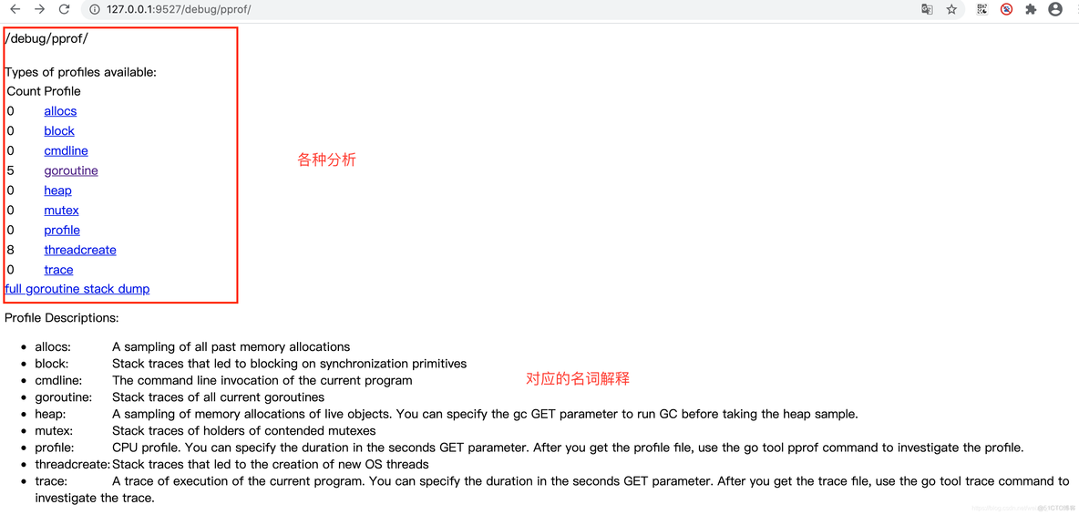 pprof调试信息泄露java pprof调试信息泄露怎么扫描_golang_02