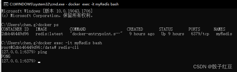 windows docker安装chemex windows docker安装部署Redis_redis_03