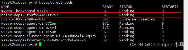 Kubernetes StorageClass 支持哪些存储 kubernetes 对象存储_k8s_09