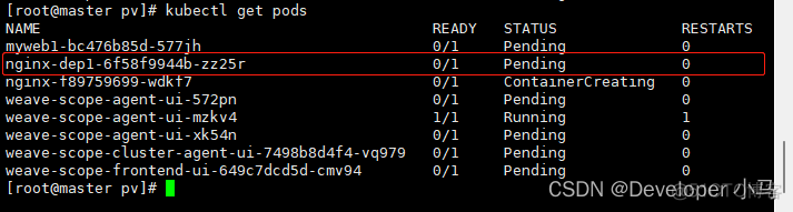 Kubernetes StorageClass 支持哪些存储 kubernetes 对象存储_运维_09